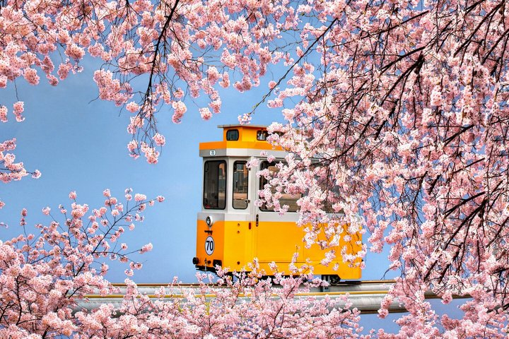 Busan Coastal Charm & Culture: Gamcheon Village & Sky Capsule - Photo 1 of 25